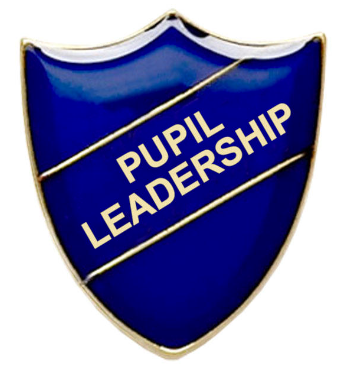 Millbrook Primary School - Pupil Leadership
